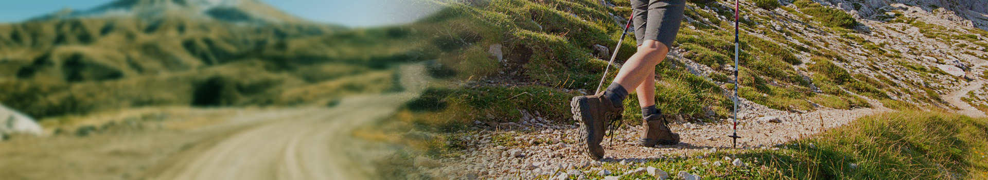 தயாரிப்புகள்